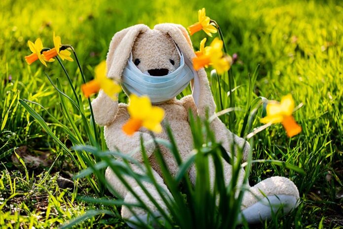 Правительство обсуждает возможность пасхальных каникул и поездок внутри страны