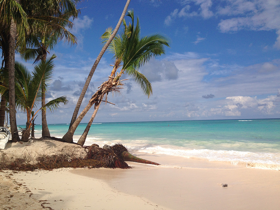 TUI: Больше рейсов в Доминиканскую Республику