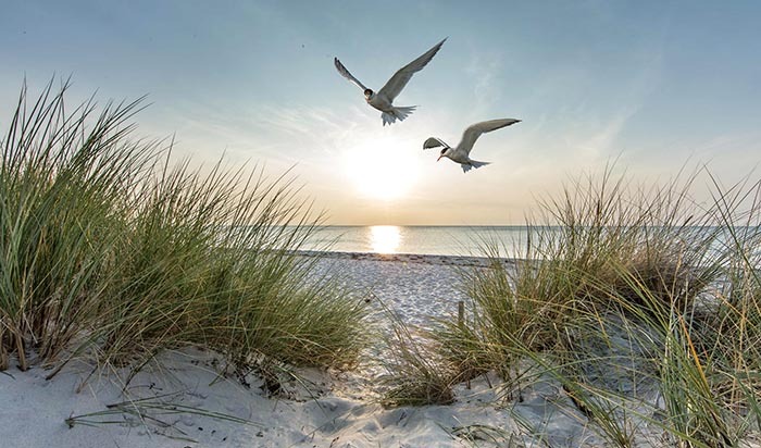 Журнал «Time» назвал остров Зюльт одним из 50 самых красивых мест мира