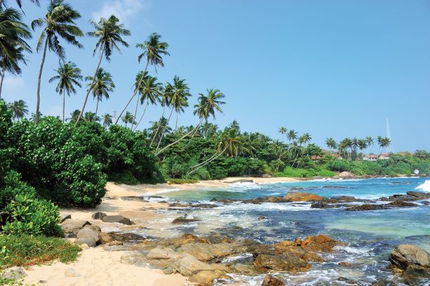 ШРИ-ЛАНКА: ОТМЕНА КАРАНТИНА ДЛЯ ПРИВИТЫХ