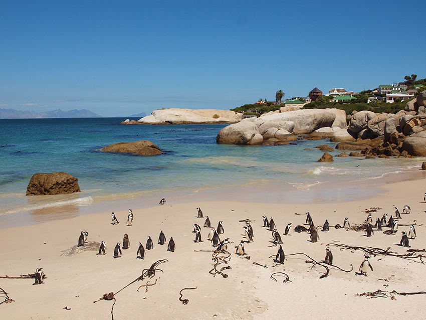 ЮАР упрощает въезд для семей