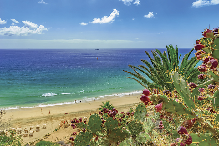 КАНАРСКИЕ ОСТРОВА: туроператоры предлагают быстрые тесты